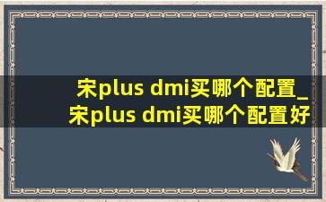 宋plus dmi买哪个配置_宋plus dmi买哪个配置好